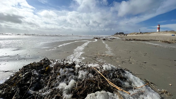 Der Südstrand auf Borkum. © NDR Foto: Petra Quade