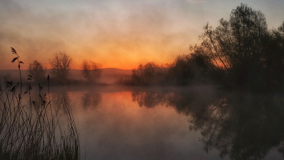 Sonnenaufgang an einem Teich im Harz. © NDR Foto: Christian Wuerzbach