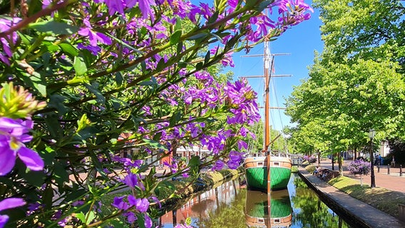 Ein Schiff auf einem Kanal in Papenburg. © NDR Foto: Elisabeth Ludwig