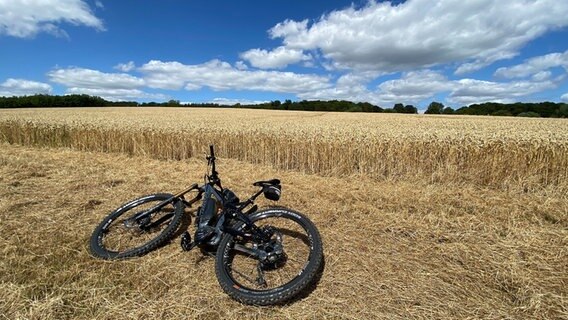 Ein Fahrrad liegt auf dem abgemähten Teil eines Getreidefelds. Dahinter blauer Himmel. © NDR Foto: Jörg Wiegmann