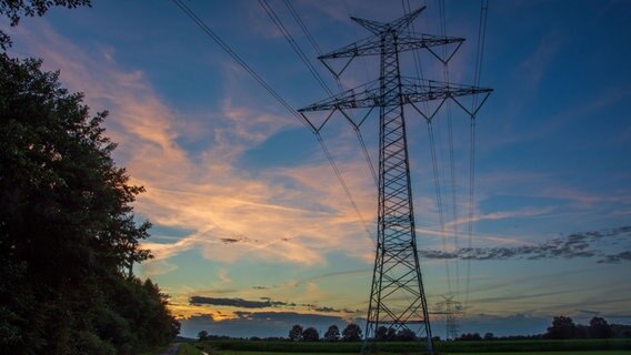 Freileitungsmast am Abendhimmel über den Wiesen zwischen Borsum und Neurhede. © NDR Foto: Anna Heidtmann