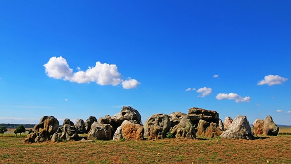 Blick auf die Lübbensteine bei Helmstedt. © NDR Foto: Eckhard K. Schulz