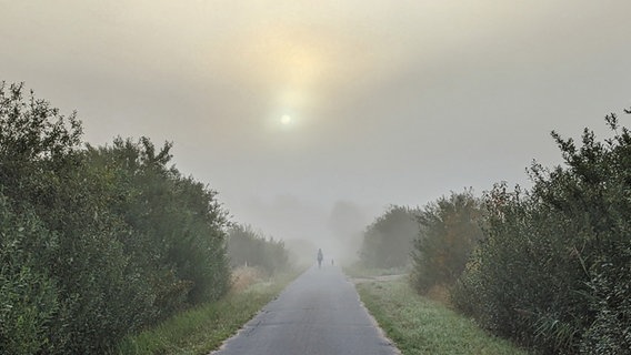 Eine Frau geht im Nebel mit einem Hund spazieren. © NDR Foto: Barbara-Marie Mundt