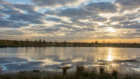 Sonnen- und Wolkenspiel über einer Moorlandschaft. © NDR Foto: Anna Heidtmann
