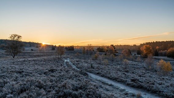 Sonnenaufgang über verschneiter Lüneburger Heide. © NDR Foto: Dennis Karjetta