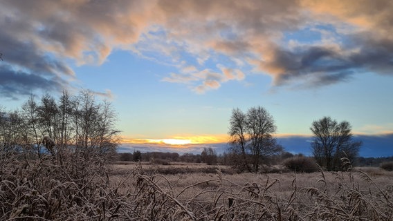 Im winterlichen Moorland bei Jever geht die Sonne unter. © NDR Foto: Birgit Groh