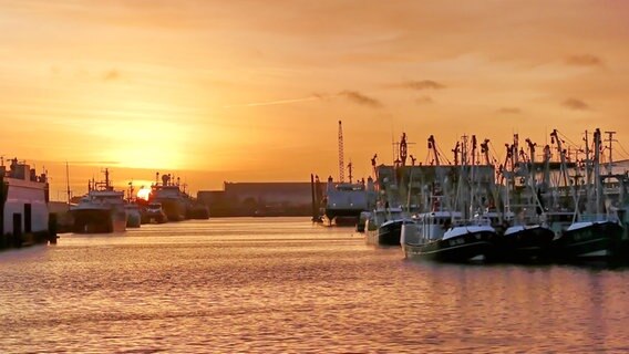 Schiffe liegen bei Sonnenaufgang im Neuen Fischerhafen in Cuxhaven. © NDR Foto: Lisa Sonntag