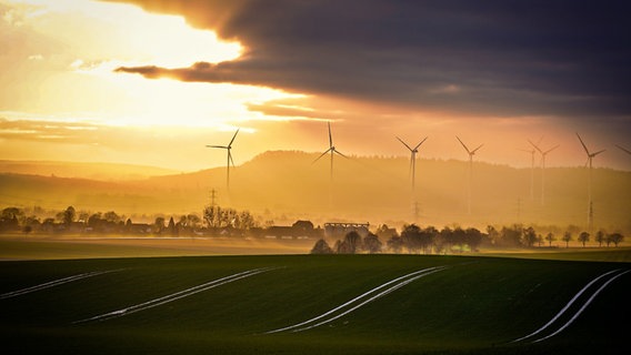 Windräder in Börry im Landkreis Hameln-Pyrmont © NDR Foto: Beatriz Preston