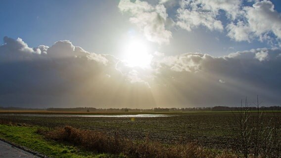 Die Sonne ist am Himmel hinter einem Feld zu sehen. © NDR Foto: Anna Heidtmann