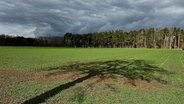 Der Schatten eines Baumes auf einem Feld. Dahinter: Dunkle Wolken am Himmel. © NDR Foto: Bernhardt Stegemann
