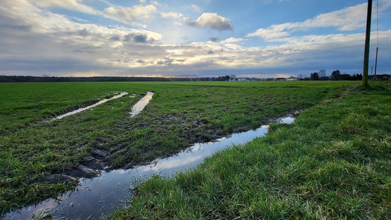 In Fahrrinnen auf einer Wiese hat sich Wasser gesammelt. © NDR Foto: Heike Köster