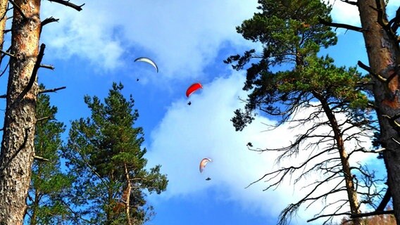 Drei Gleitschirmflieger nahe des Rammelsberges. © NDR Foto: Jutta Fricke