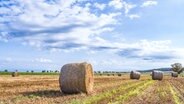 Strohballen vor bewölktem Himmel auf einem Feld bei Emmerke (Landkreis Hildesheim). © NDR Foto: Wolfgang Erdtmann