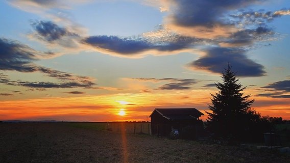 Sonnenuntergang in der Feldmark Farmsen © NDR Foto: Nicole Gaber-Franke
