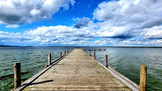 Die Sonne scheint am Steinhuder Meer © NDR Foto: Hans-Werner Dieth