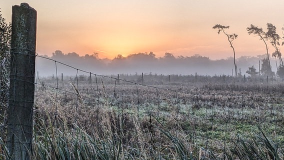 Frost ist am frühen Morgen auf einer Wiese in der Hohnstorfer Feldmark zu sehen. © NDR Foto: Barbara-Marie Mundt