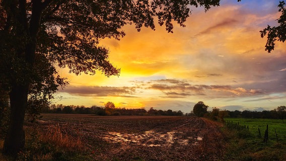 EIn Sonnenuntergang über einem Feld. © NDR Foto: Katharina Klassen