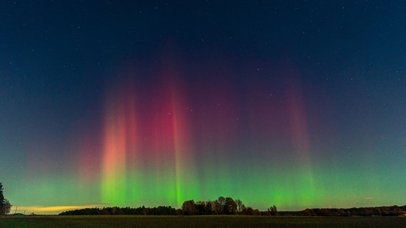 Polarlichter tanzen am Himmel über Mardorf. © NDR Foto: Christoph Braunert