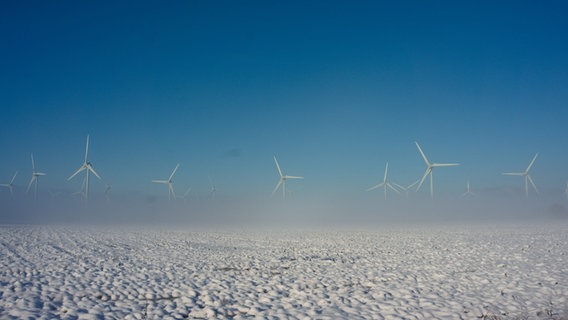 Blick auf einen Windpark im Winter. © NDR Foto: Silvia Peters
