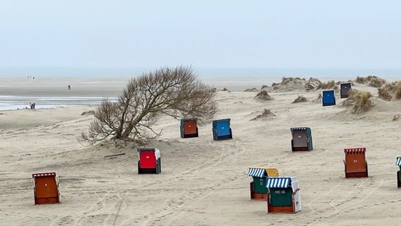 Am Nordstrand von Borkum laden zahlreiche Strandkörbe zum Verweilen ein. © NDR Foto: Petra Quade