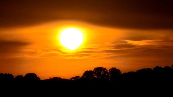 Blick auf einen Sonnenaufgang in Ostfriesland. © NDR Foto: Petra Kirsten