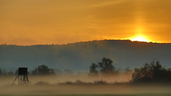 Sonnenaufgang am Leinepolder bei Salzderhelden. © NDR Foto: Falk Schwarz