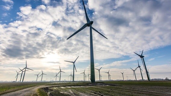 Ein Windpark: Windräder vor bewölktem Himmel. © picture alliance Foto: Jochen Tack
