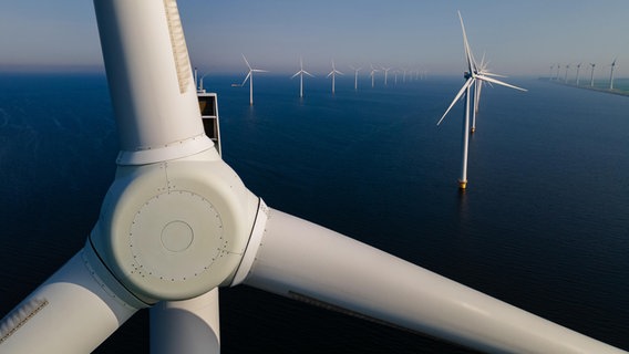 Eine Offshore-Windanlage. © picture alliance / Zoonar | Fokke Baarssen Foto: Fokke Baarssen