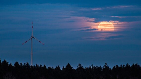 Wald bei Vollmond, ein Windrad ragt in die Höhe © picture alliance Foto:  Lino Mirgeler