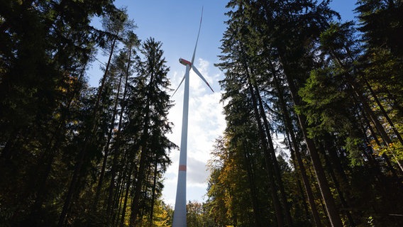 Ein Windrad steht in einem Waldgebiet. © picture alliance/dpa/Nicolas Armer Foto: Nicolas Armer