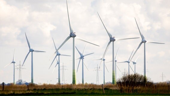 Windräder stehen auf einer Wiese. © picture alliance Foto: Hauke-Christian Dittrich