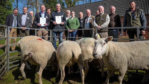 Representatives of the hunting associations stand behind his sheep with shepherd Janko Schneider.  © Sina Schuldt/dpa Photo: Sina Schuldt