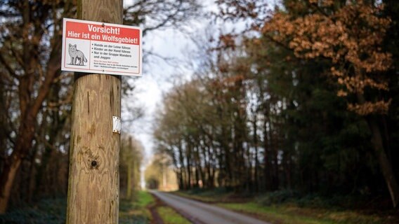 "Vorsicht! Hier ist ein Wolfsgebiet!" und Verhaltensregeln stehen auf einem Schild, das von unbekannten am Waldrand aufgehängt wurde. © dpa-bildfunk Foto: Sina Schuldt