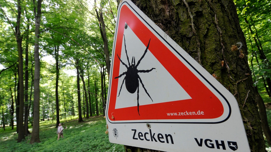 Vor Zecken wird mit einem Schild in einem Waldgebiet bei Devese südlich von Hannover gewarnt.