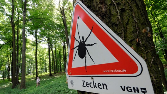 Ein Schild an einem Baum warnt vor Zecken. © picture alliance / dpa Foto: Holger Hollemann