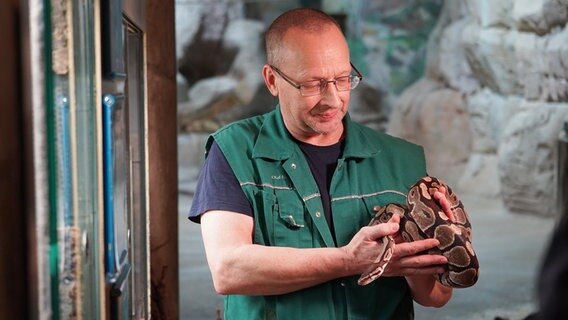Ein Tierpfleger hält eine Schlange in den Händen © Radio Bremen Foto: Sonja Harbers