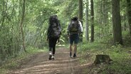 Zwei Wanderer laufen auf einem Weg durch den Wald. © NDR Foto: Dominik Dührsen