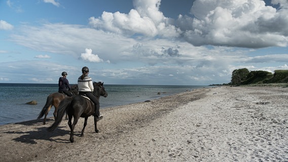 Zwei Reiterinnen reiten am Ostseestrand nebeneinander © NDR Foto: Dominik Dührsen