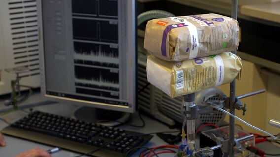 Zwei Packungen Mehl werden in einem Laborversuch an der CAU Kiel von einem neuartigen Material namens Aerographen gehievt. © NDR 