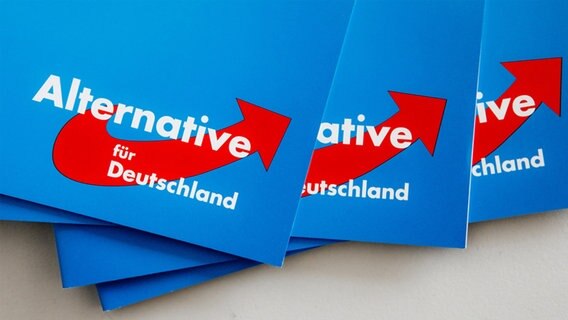 Das Logo der Alternative für Deutschland ist in Rendsburg auf dem Landesparteitag der AfD auf Parteibroschüren zu sehen. © dpa-Bildfunk Foto: Markus Scholz