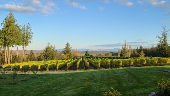 Eine Landschaft mit einer Bergkette am Horizont Eine Landschaft mit einer Bergkette am Horizont © Christine und Edmund Stoecklein