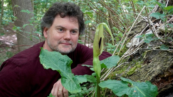 Florian Gloza-Rausch  betrachtet die Blüte des Aronstabs © NDR Foto: Elin Halvorsen