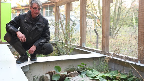 Marcus Annies hockt auf einem Beet in einem Gewächshaus und blickt hinab auf die Pflanzen © NDR Foto: Jörn Zahlmann