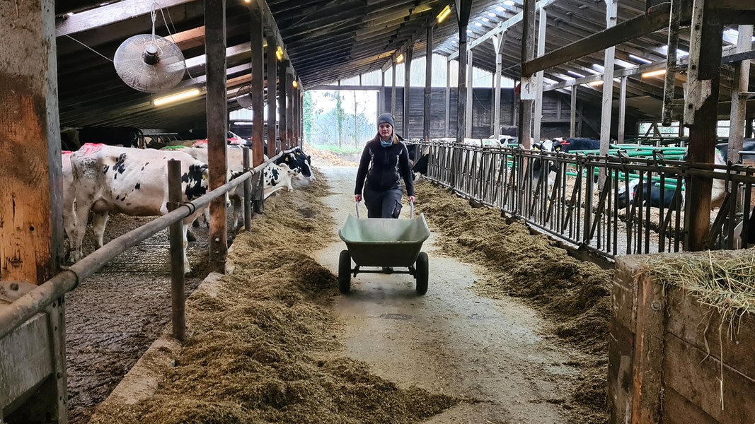 Azubi-Serie: Evje Wiecks Zukunft ist die Landwirtschaft | NDR.de