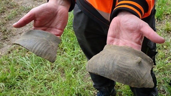 Zwei Hände halten dunkle Scherben eines zerbrochenen Gefäßes. © NDR Foto: Peer-Axel Kroeske