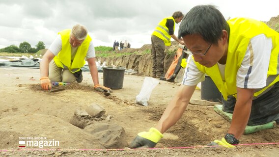 Menschen führen Ausgrabungen durch im Lübecker Gewerbegebiet. © NDR 