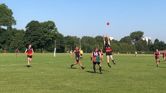 Australian Football Europameisterschaft in Kiel ausgetragen NDR.de