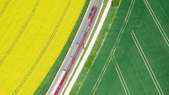 Ein Güterzug der Deutschen Bahn fährt vorbei an einem blühenden Rapsfeld. © picture alliance / Julian Stratenschulte/dpa | Julian Stratenschulte Foto: Julian Stratenschulte