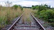Stillgelegte, zugewucherte Bahngleise © Imago Images Foto: xR.xSchmiegeltx/xFuturexImage