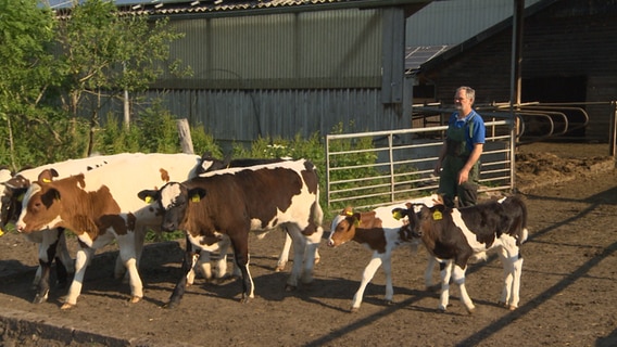 Eine Kuhherde läuft vor einem Landwirt. © NDR 